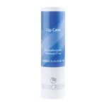 BIOSCREEN GINKOLIUM SOIN LEVRES 4.5G