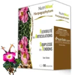 Nutrimax Harpagophytum 90cps