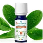 Puress Huile Ess Ravintsara Bio 10ml