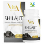 Vita nature shilajit 60gelules